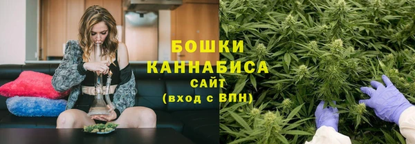 spice Краснослободск